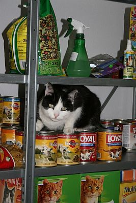 Hier ist doch gen&uuml;gend