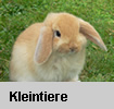 Kleintiere