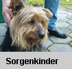 Sorgenkinder