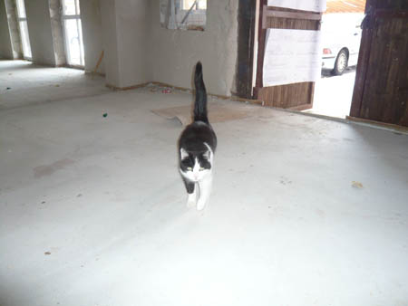 Der Chef geht seinen Kontrollgang